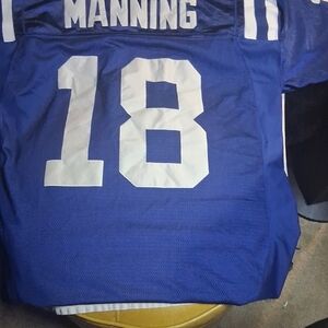 Reebok Blue NFL Jersey with White Accents